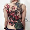 Mới chơi lần đầ